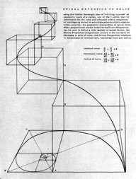 Anne Tyng, “Form finds Symmetry in Geometry,” Zodiac 19, 1969