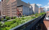 Elizabeth Diller, Diller Scofidio + Renfro, High Line, Nueva York, 2012-2014